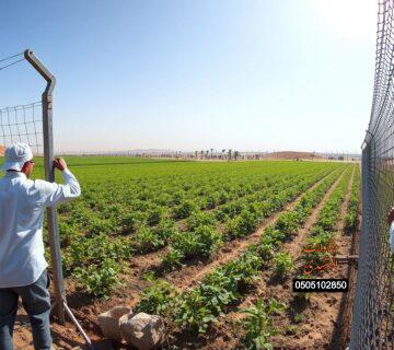 شبوك أطراف الرياض